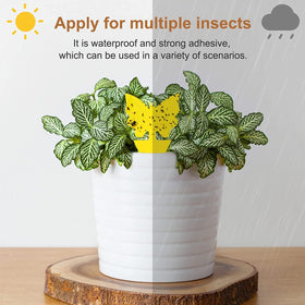 Stingmon easy-insert bottom design simplifies placement for plant care