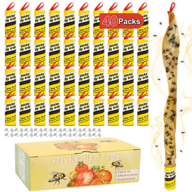 Stingmon fruit fly traps indoor glue panel captures pests in kitchen spaces.
