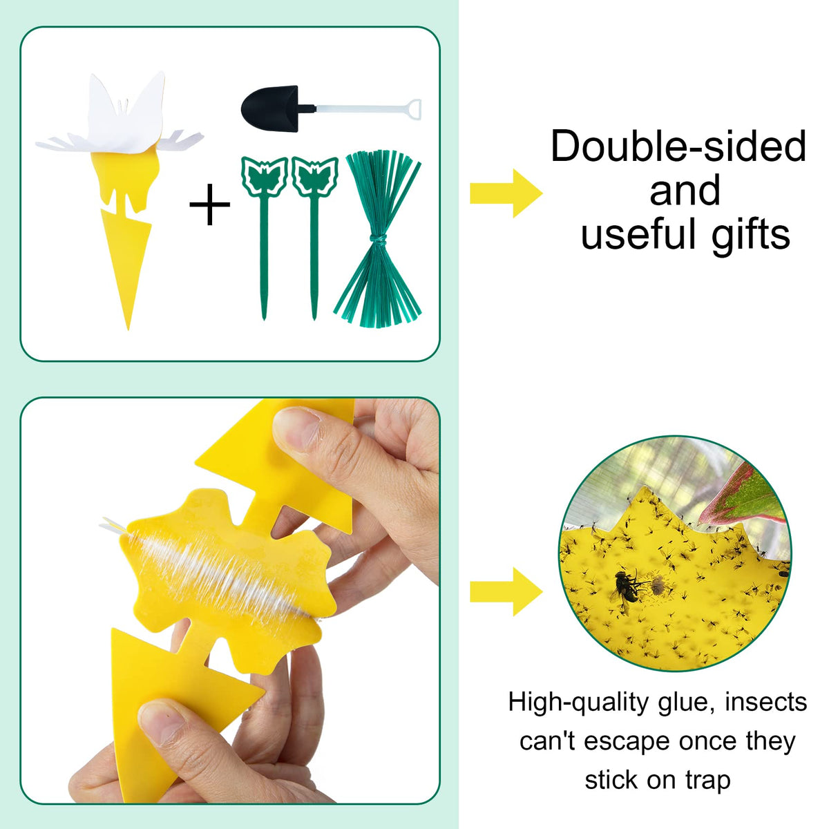 Stingmon fungus gnat killer sticky traps capturing gnats