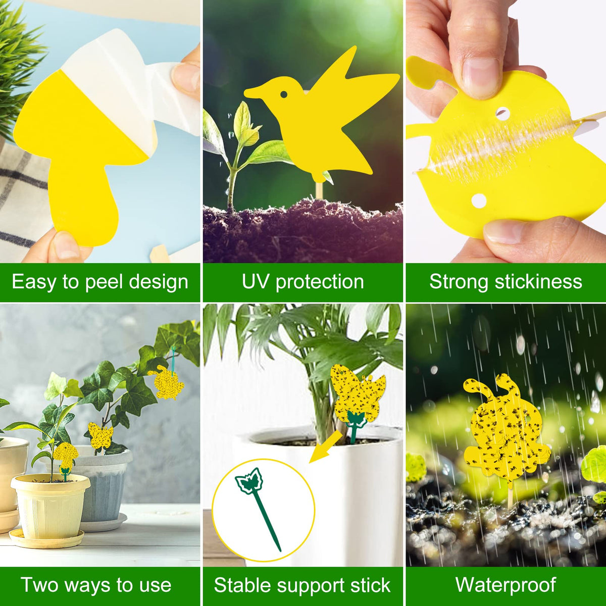 Stingmon gnat trap in plant pot for home garden use
