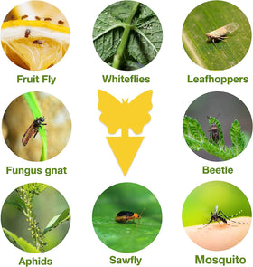 Stingmon green butterfly support sticks included for stability