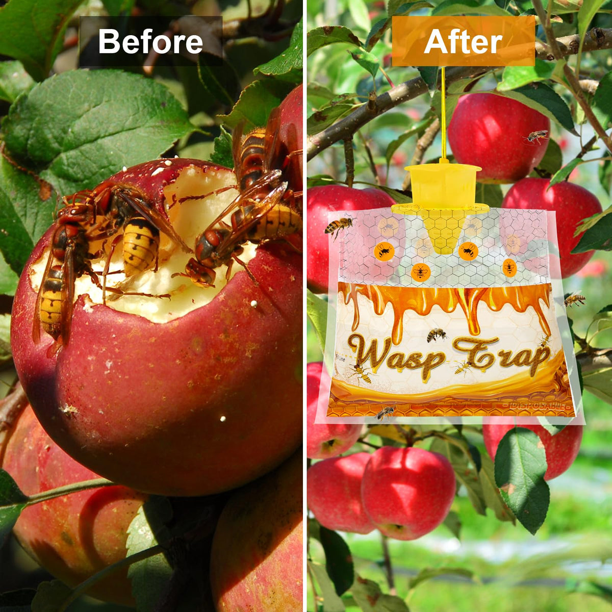 Stingmon hornet trap outdoor capture solution directs hornets into the trap.