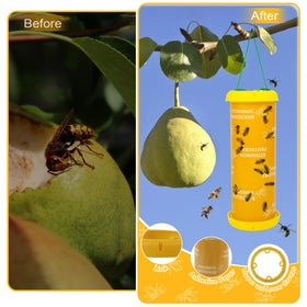 Stingmon Hornet Trap sticky surface prevents invasive insects