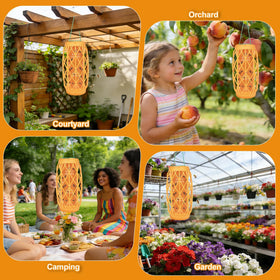 Stingmon versatile outdoor trap captures flying insects beyond wasps