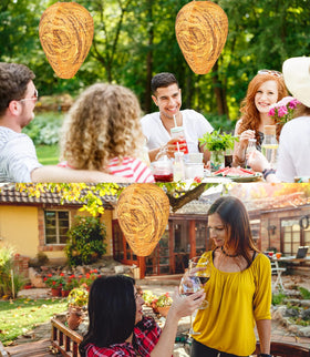 Stingmon outdoor wasp traps assist in safe outdoor dining