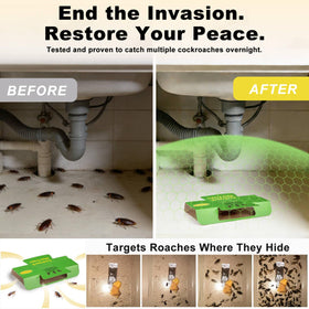 Stingmon roach traps folded design for flexible placement.