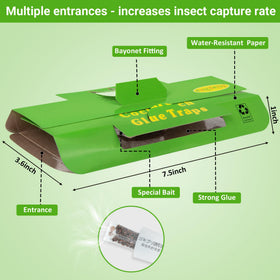 Stingmon packaging detail highlights clear instructions and safety.