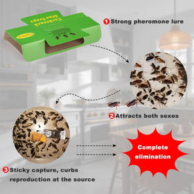 Stingmon roach traps placed in closet for discreet indoor use.