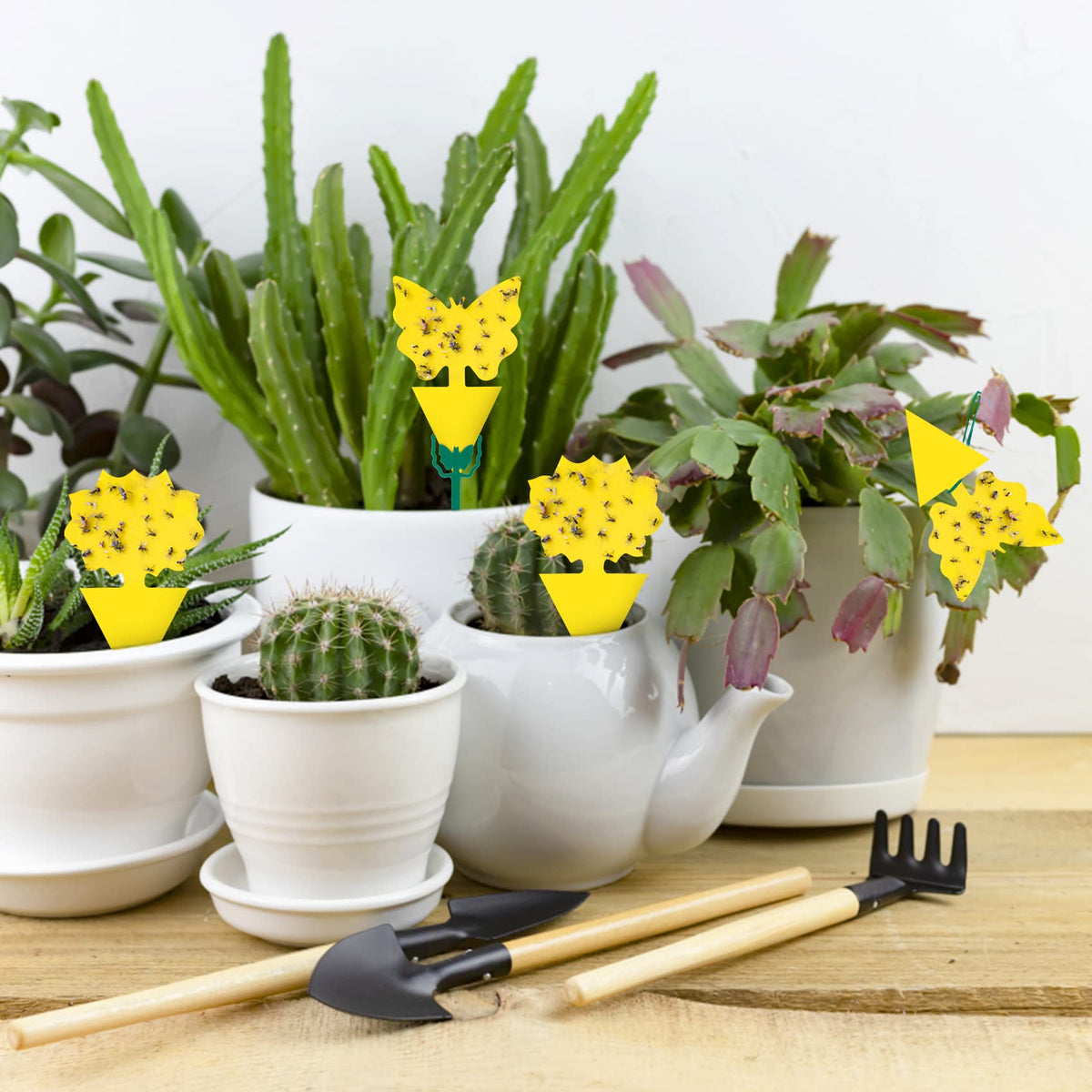 Stingmon strong adhesive plant traps designed to catch pests