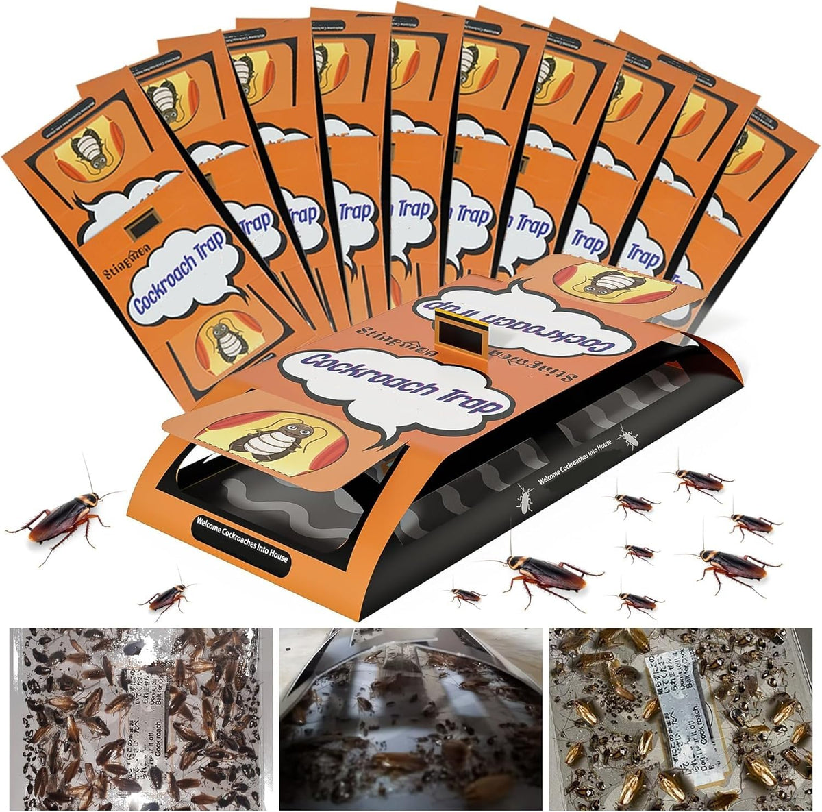 Stingmon Trap 24-pack roach traps indoor corner placement for discreet capture