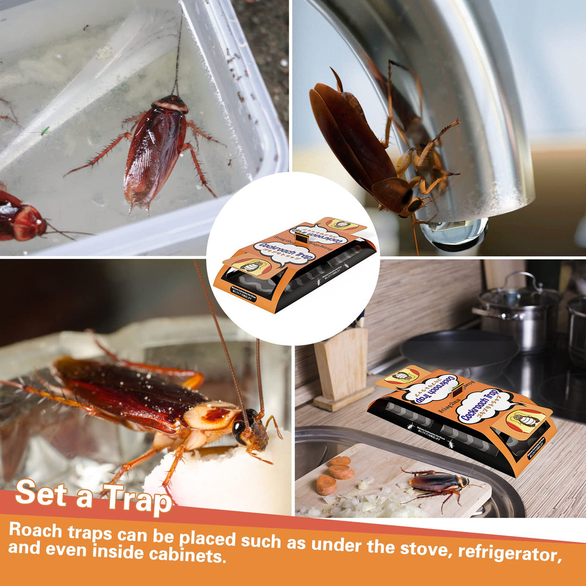 Stingmon Trap easy disposal handle enables clean, mess-free removal