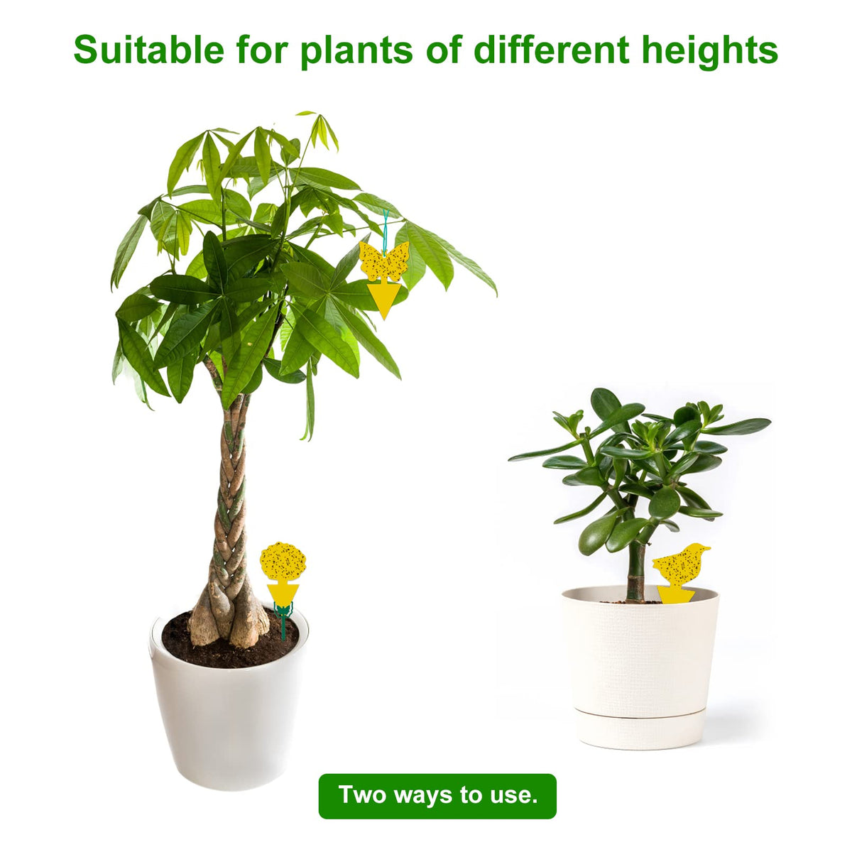 Stingmon UV-resistant waterproof traps suited for indoor environments