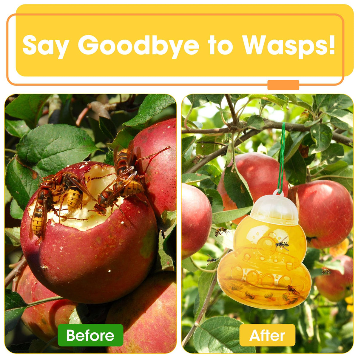 Stingmon wasp trap shows 10-tunnel design for wide entry