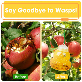 Stingmon wasp trap shows 10-tunnel design for wide entry