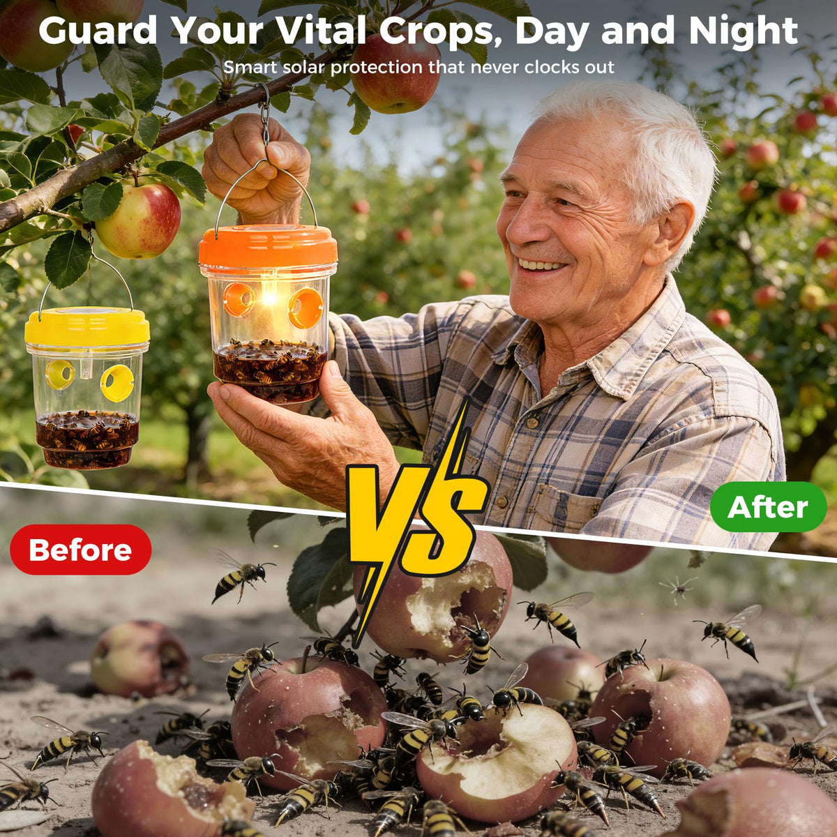 Stingmon dual entry wasp trap design improves capture efficiency.