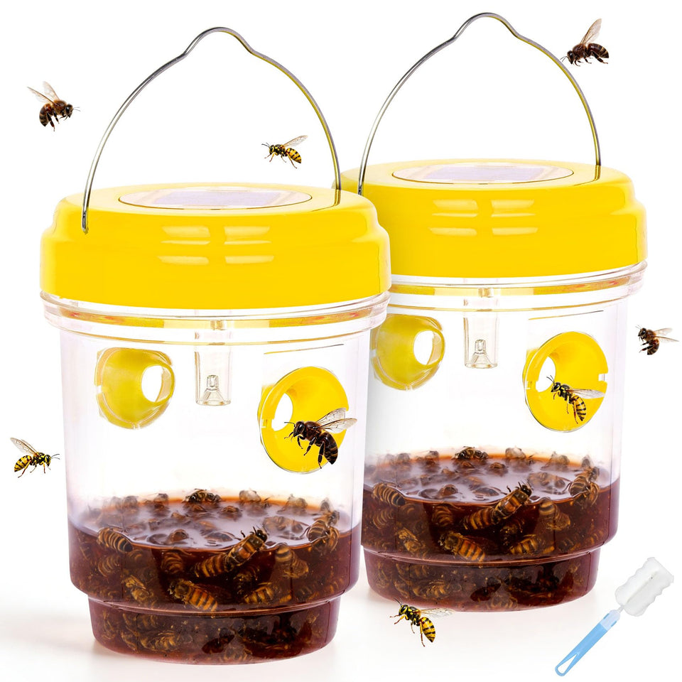 Stingmon wasp trap outdoor hanging solar design attracts insects for yard control.