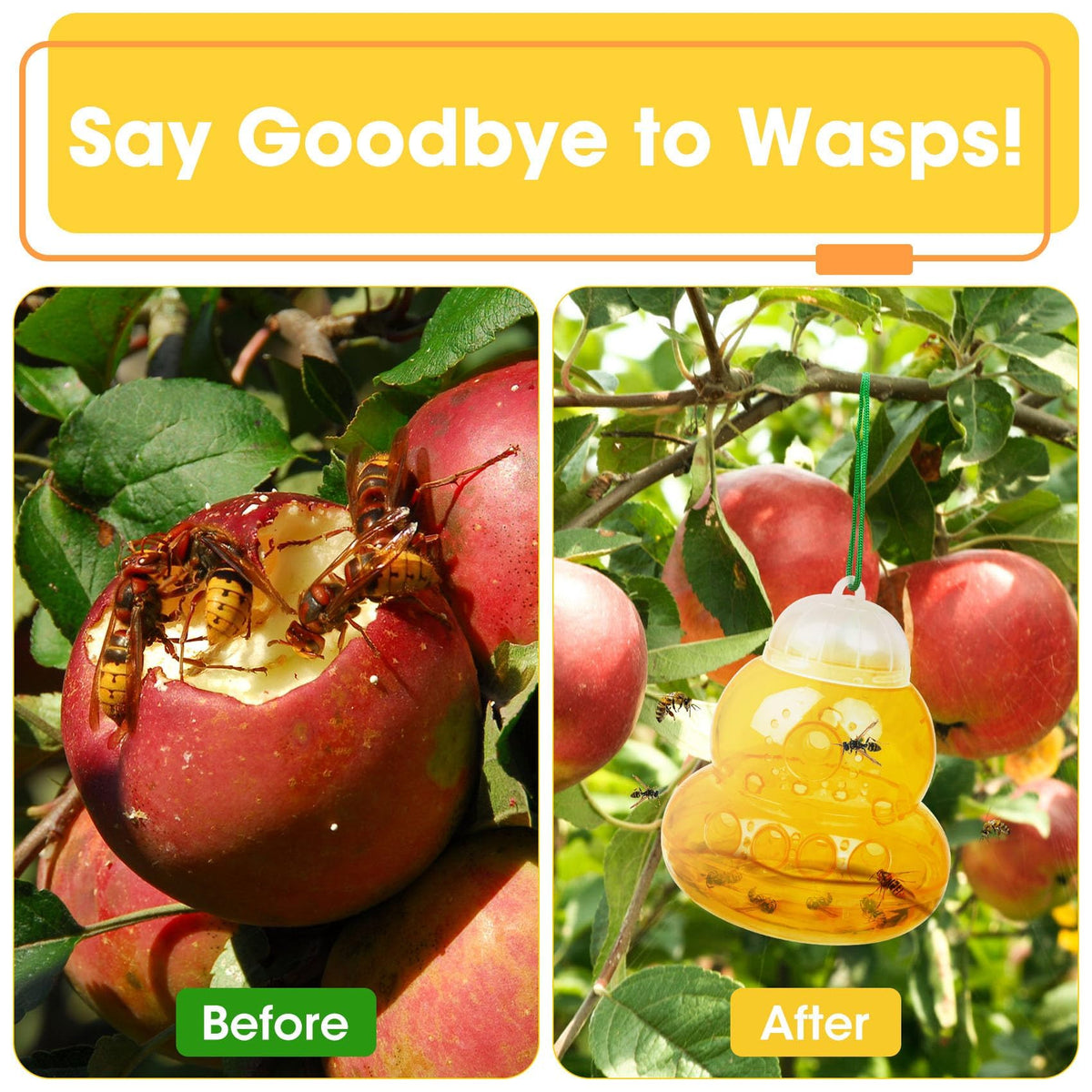 Stingmon weatherproof wasp traps withstand rain and wind