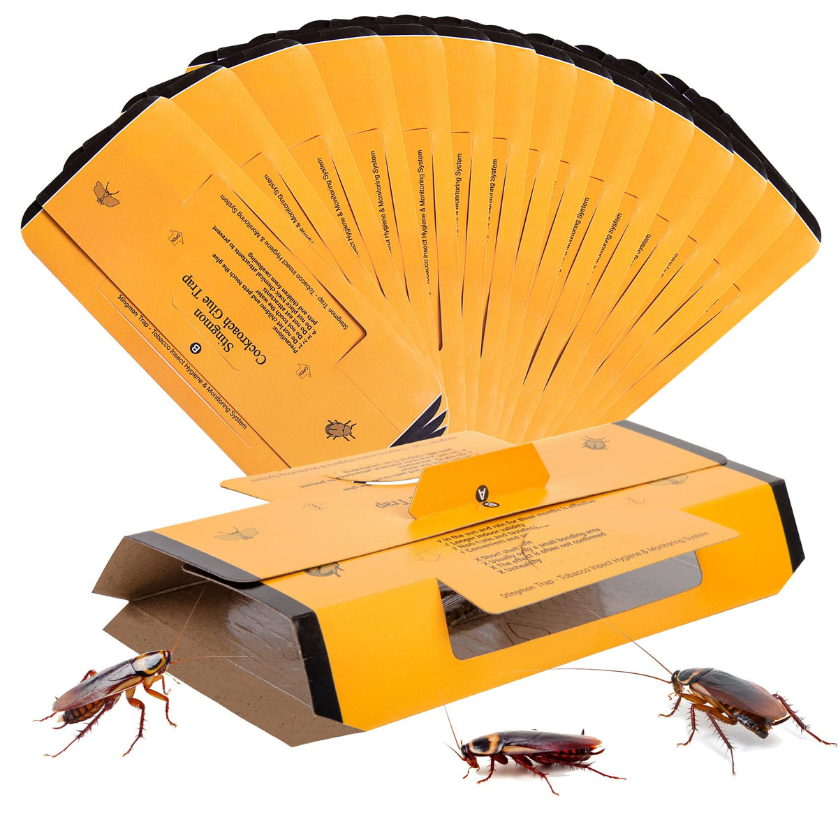 Stingmon 18-pack coverage for pest-active areas.