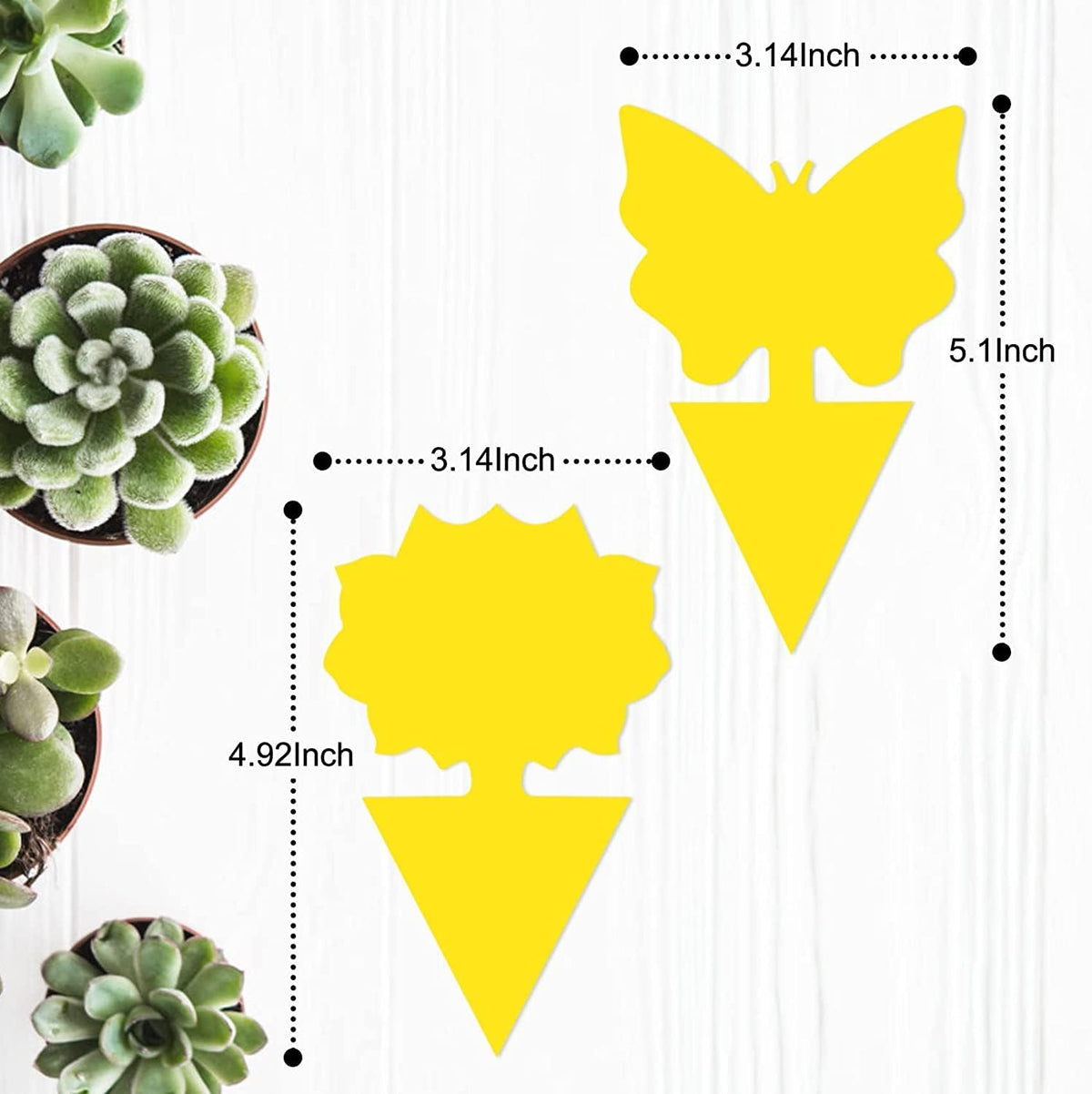 Stingmon yellow sticky trap targets gnats and flying insects in houseplants