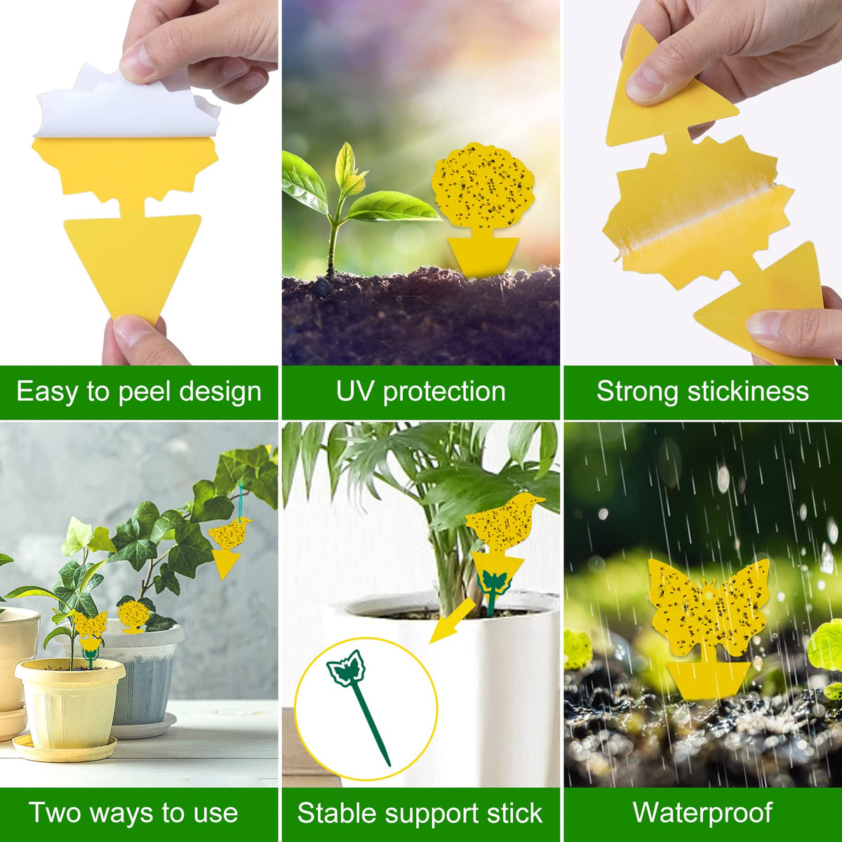 Stingmon yellow traps for plants in a home greenhouse setup