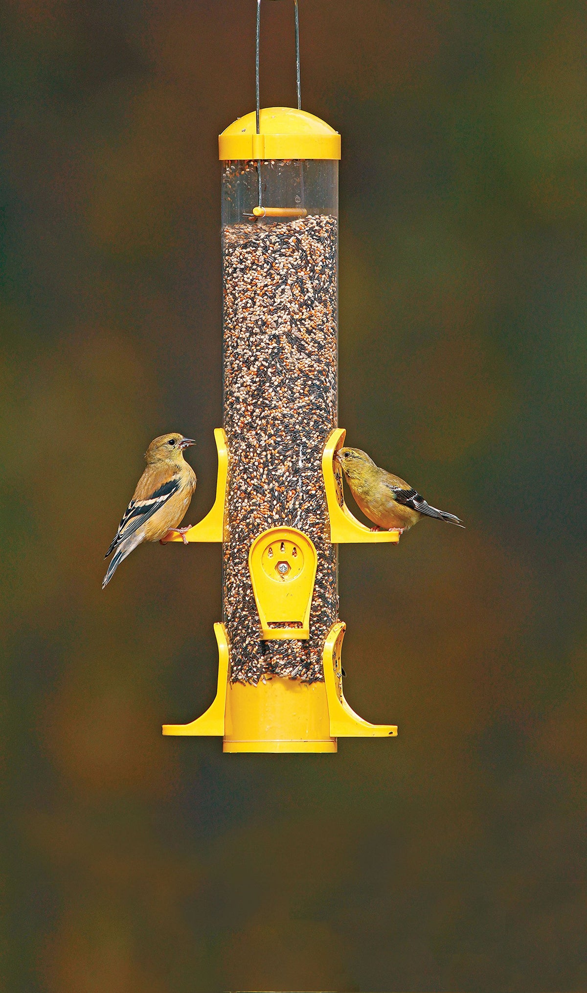 Stokes Select feeder with roof-top design keeps seed dry.