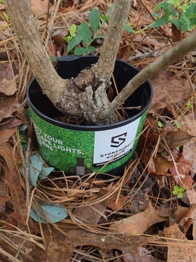 Stoneking Armor weather-resistant finish resists sun and rain