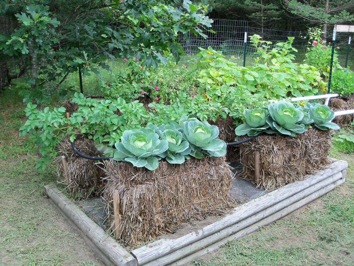 Season-long nutrient retention helps counter nutrient leaching from rain