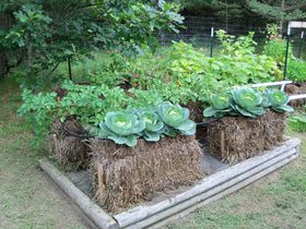 Season-long nutrient retention helps counter nutrient leaching from rain