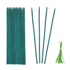 Stroller green bamboo plant stakes package for indoor and outdoor garden use