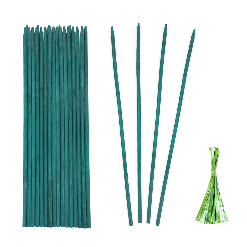 Stroller green bamboo plant stakes package for indoor and outdoor garden use