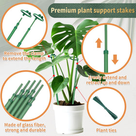 Stroller green ties blend with foliage while organizing climbing plants.