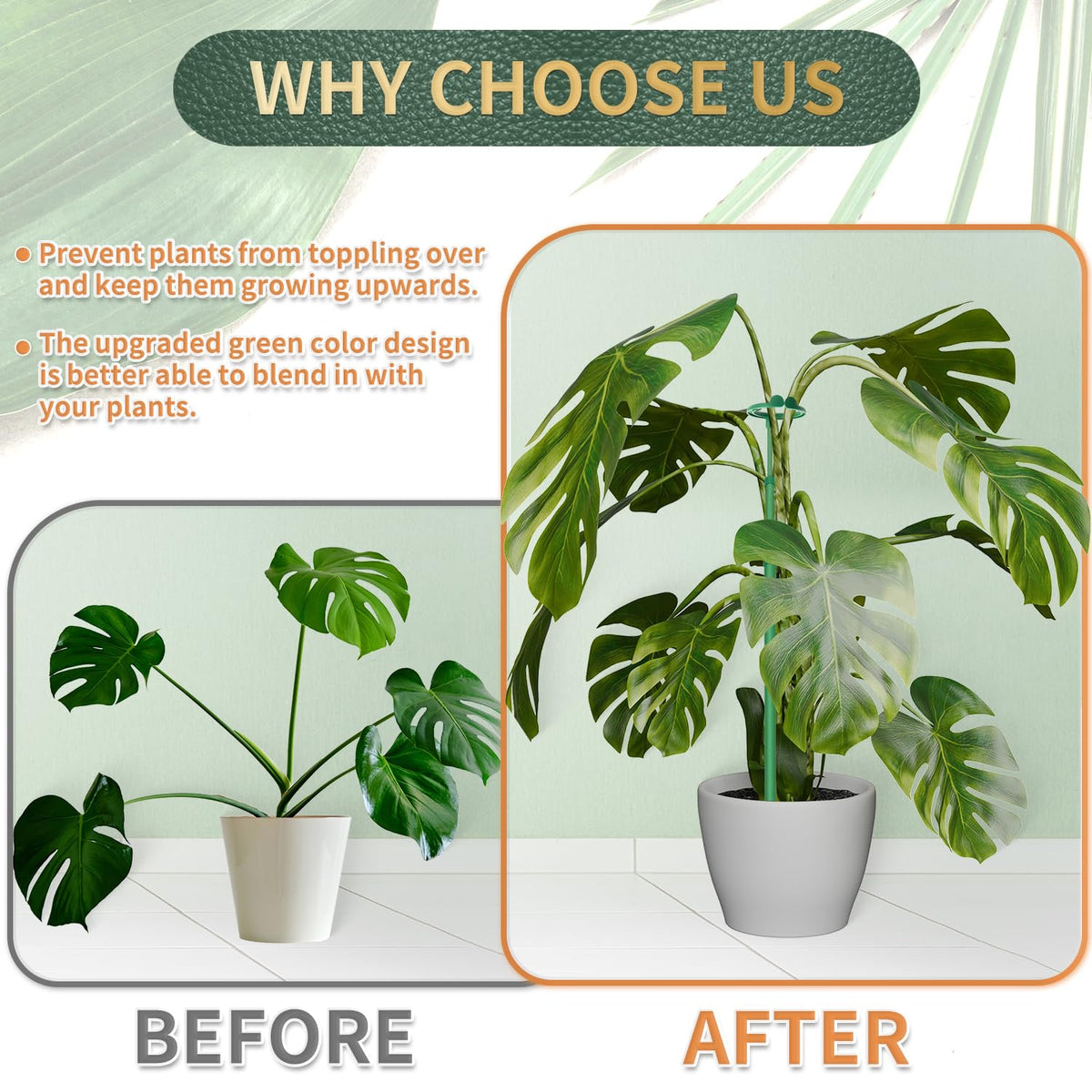 Stroller tall support helping monstera and orchids grow upward.