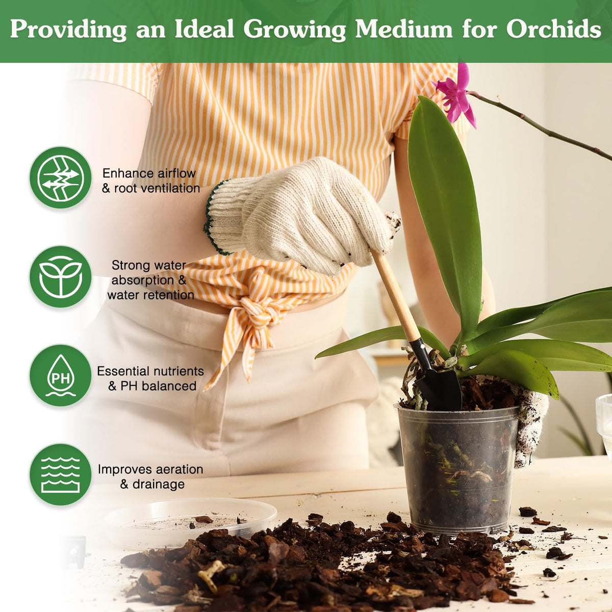 Stroller orchid potting mix featuring coco peat supports moisture retention and nutrients