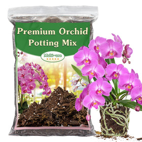 Stroller orchid potting mix with forest moss boosts moisture balance for thriving roots