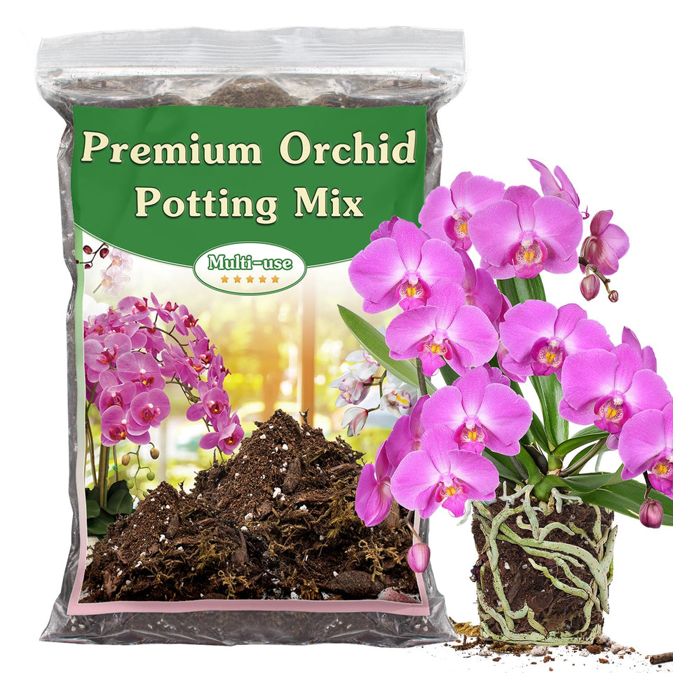 Stroller orchid potting mix with forest moss boosts moisture balance for thriving roots