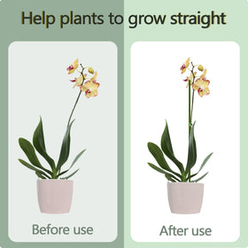 Stroller stake tape pack for securing plants with easy DIY adjustments.