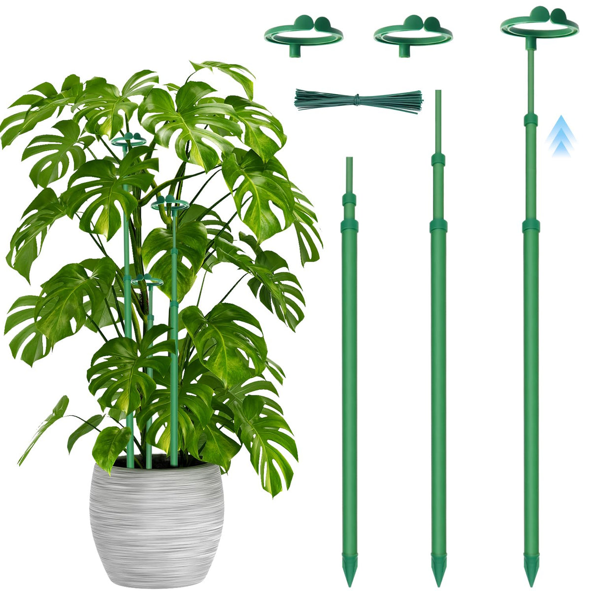 Stroller telescoping plant stakes extend from 17.9 to 42.3 inches for versatile plant support.