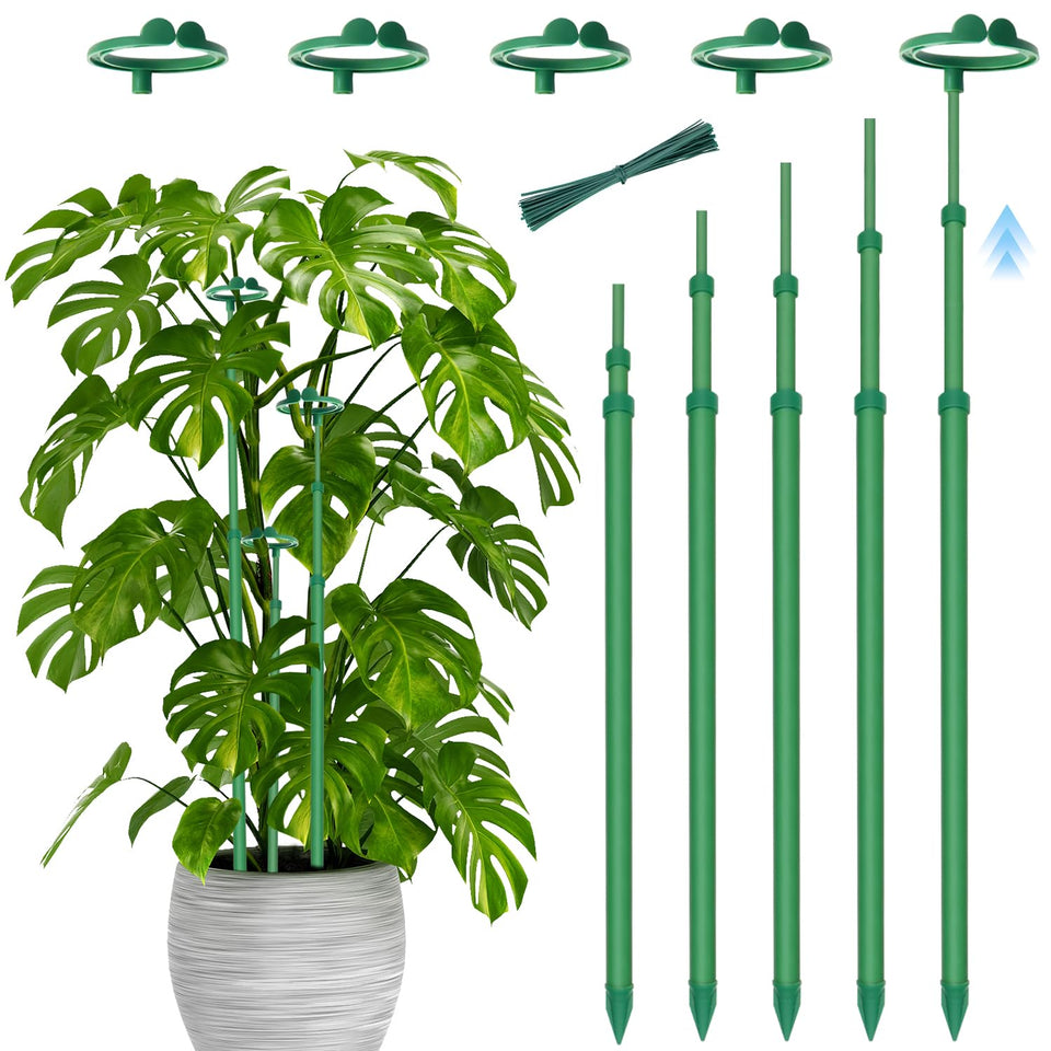 Stroller telescoping stakes extended in soil to support a growing monstera indoors.