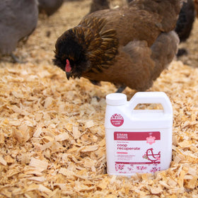 Strong Animals Coop Recuperate Cherry Blossom scattered on bedding to refresh litter