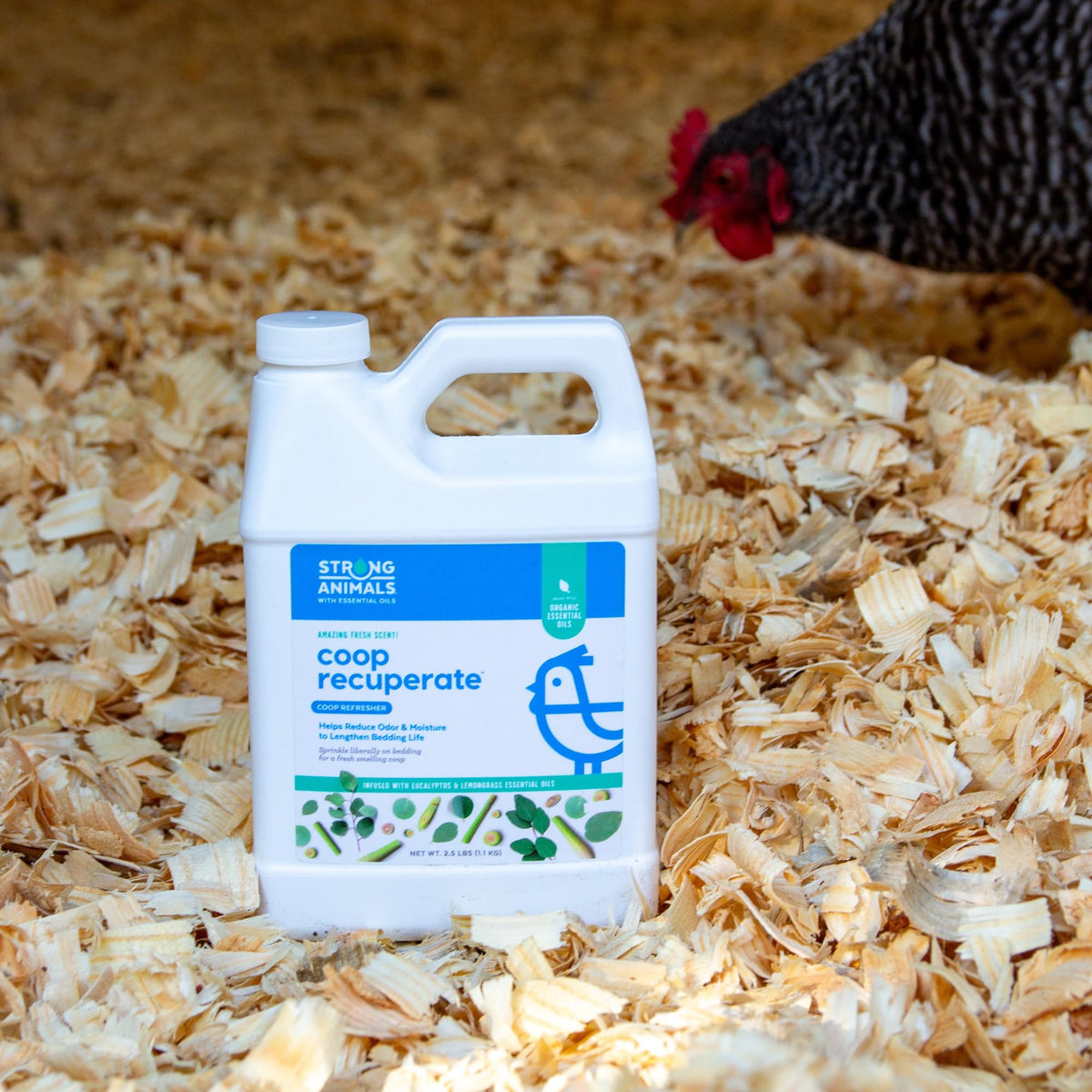 Strong Animals Coop Recuperate eucalyptus-lemongrass bottles close-up highlighting organic essential oils.