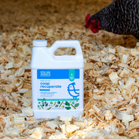 Strong Animals Coop Recuperate eucalyptus-lemongrass bottles close-up highlighting organic essential oils.