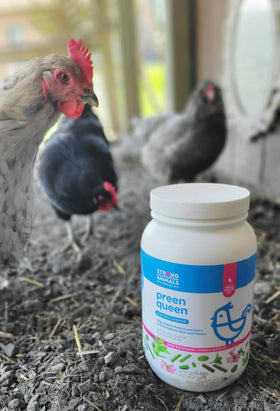 Strong Animals Preen Queen product shows moisture and odor absorption