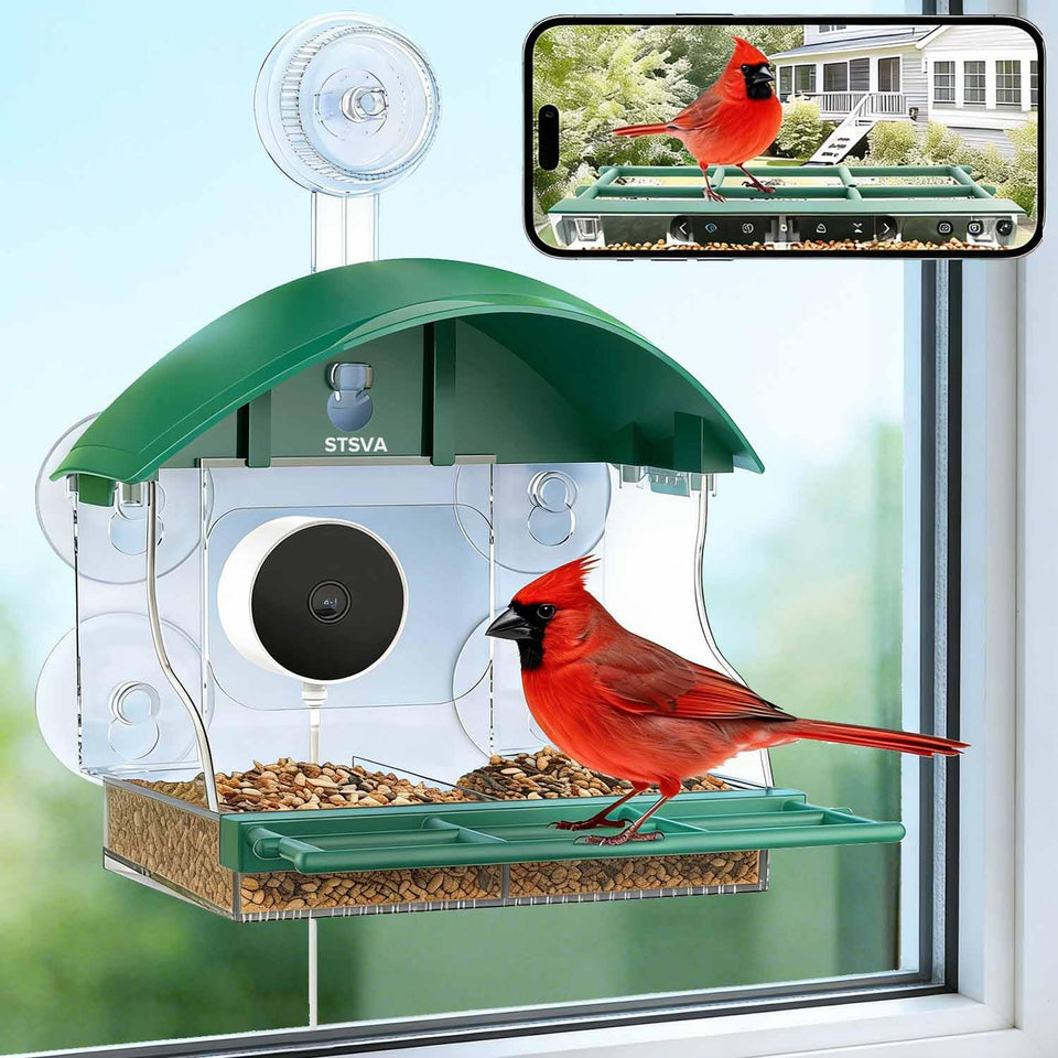 STSVA window bird feeder camera captures 2K footage for detailed bird watching.