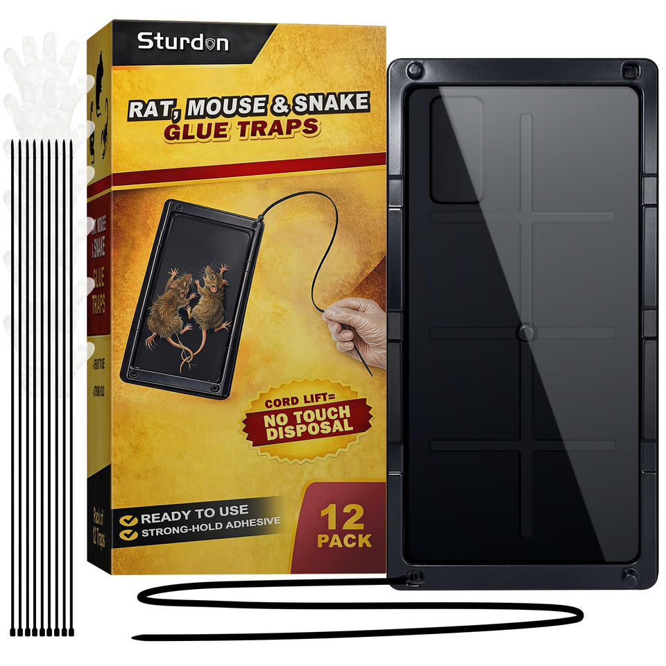 Sturdon rat glue trap board with pre-baited scent for quick pest interception.