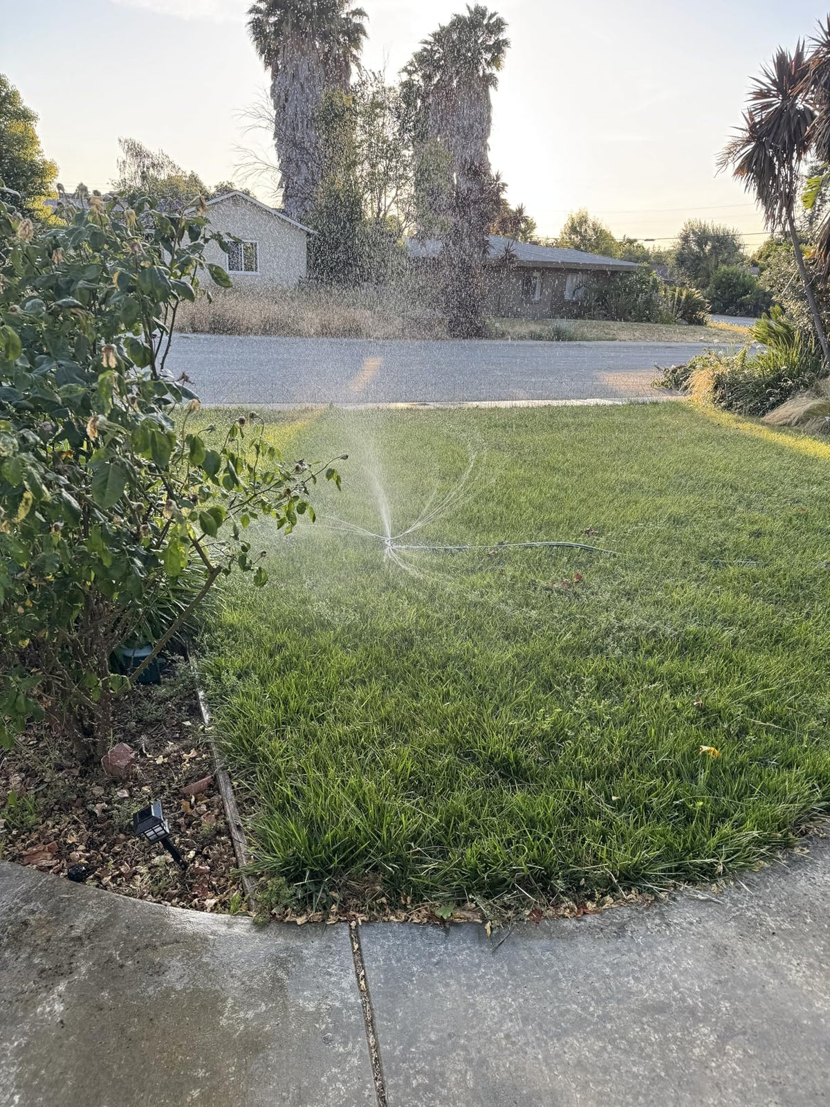 STYDDI 3-arm sprinkler heads provide uniform coverage across garden beds.