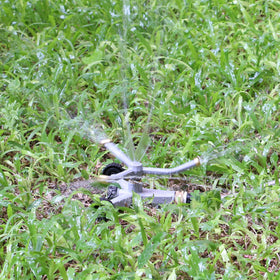 STYDDI 360-degree irrigation delivers even water distribution.