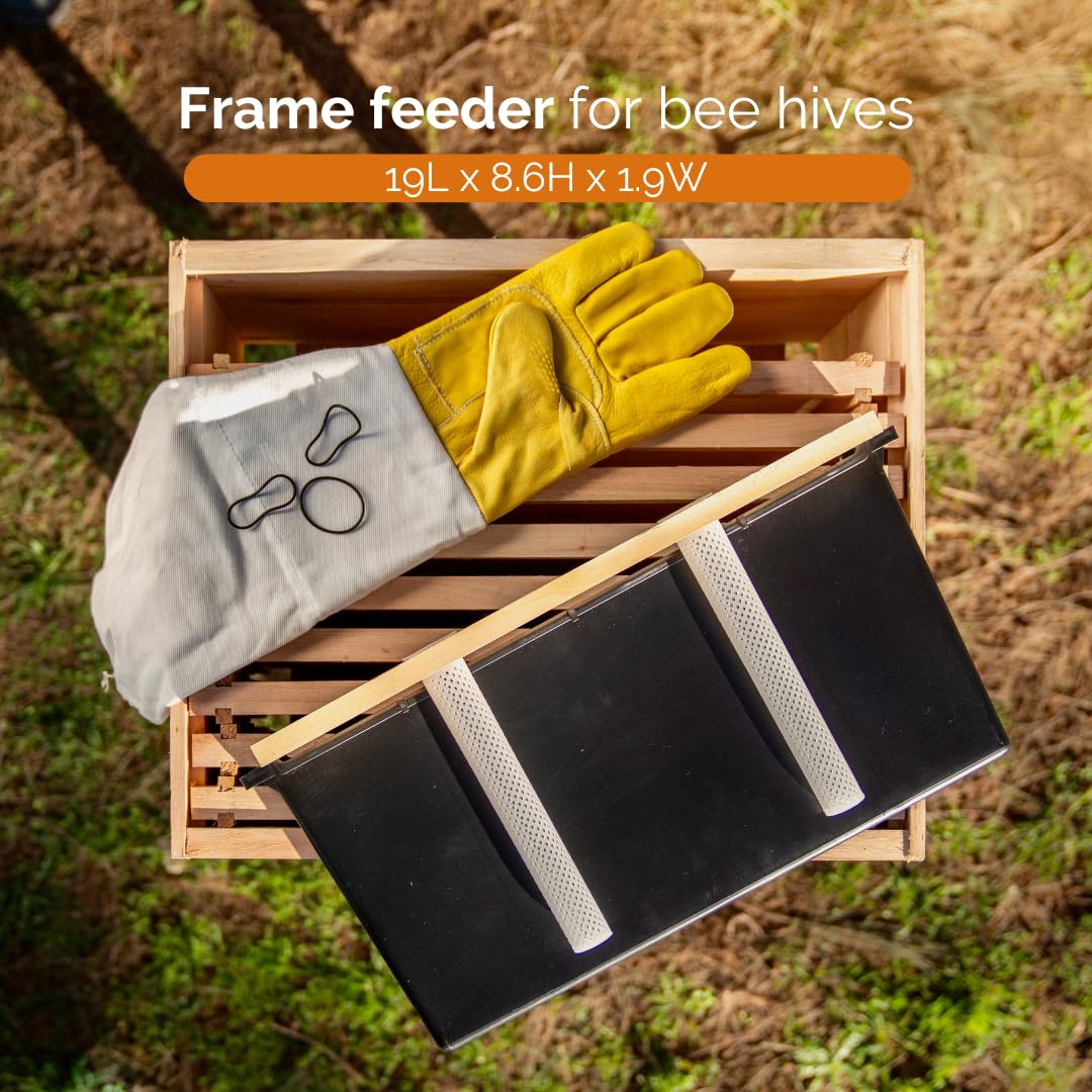 Subernig Bee Feeder hive setup showing easy integration.