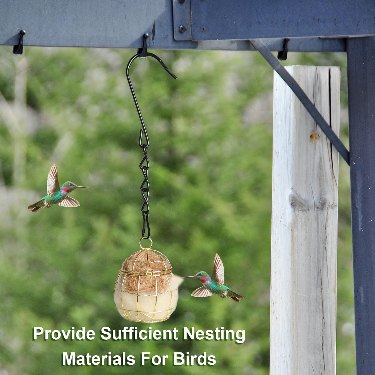 SucculentLovers garden bird watching setup with nesting balls in a patio