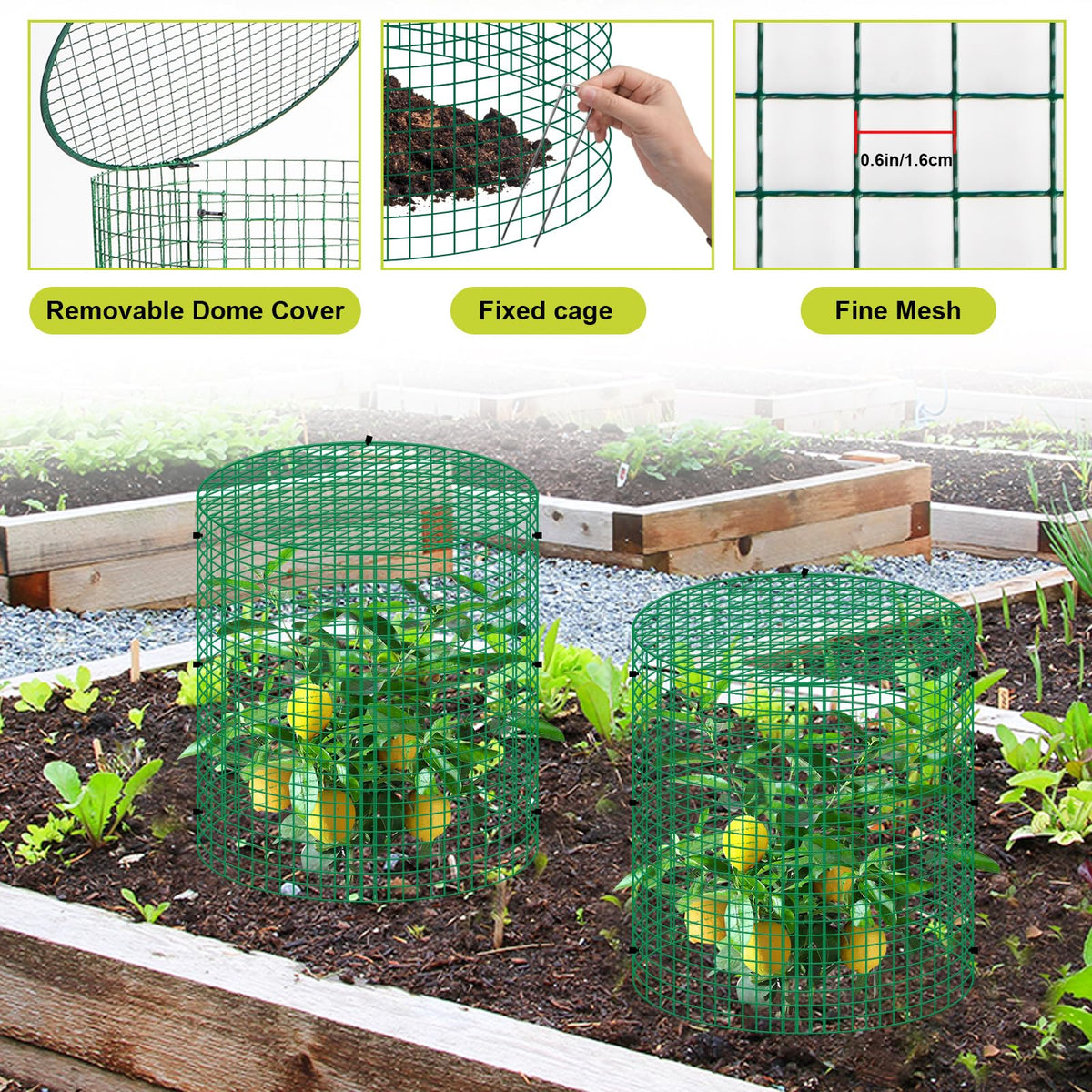 succulentlovers stakes and zip ties ensure quick secure installation in any garden.