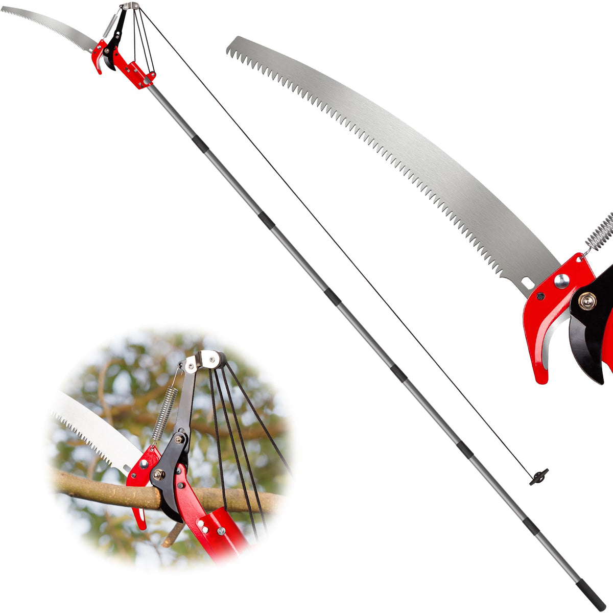 Suchtale 10ft pole saw extended pole enables high branch trimming from the ground.